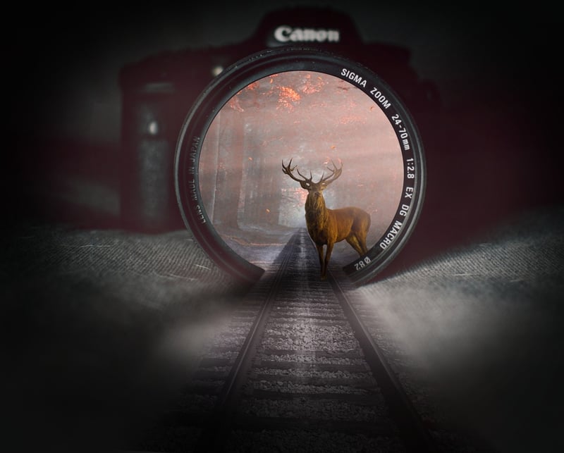 Parallel Dimensions